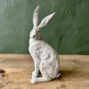 Winifred Rabbit