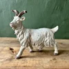 Billy goat
