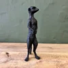 Riki tiki meerkat