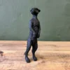 Tavi meerkat