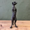 Hannibal meerkat
