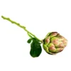 Globe artichoke 47cm
