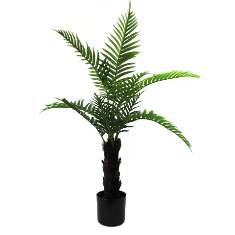 Palm maldiva 100cm