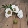 White poppy 69cm