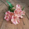 Pink mirage Peruvian lily 80cm
