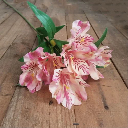 Pink mirage Peruvian lily 80cm