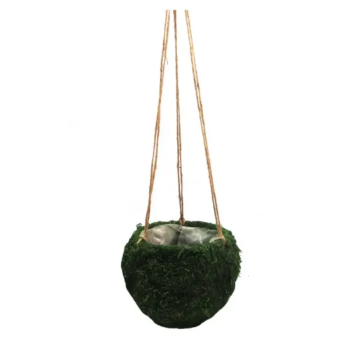 Mosshang hanging basket