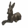 Honey pot hare