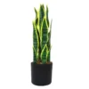 Mother-in-laws tongue plant 45cm
