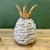 Cloudpuff Pineapple 27cmh