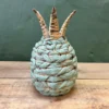 Mint Meadow Pineapple 27cmh