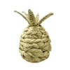 Bahamas pineapple