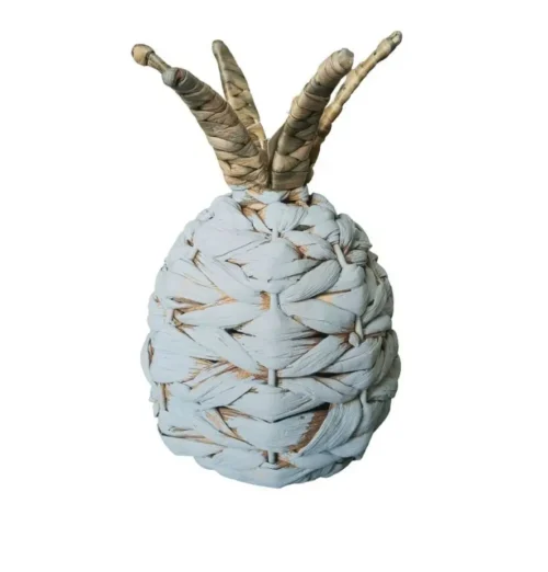 Barbados Pineapple