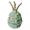 Jamaica pineapple