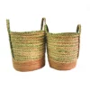 Bungalow tropics baskets s/2