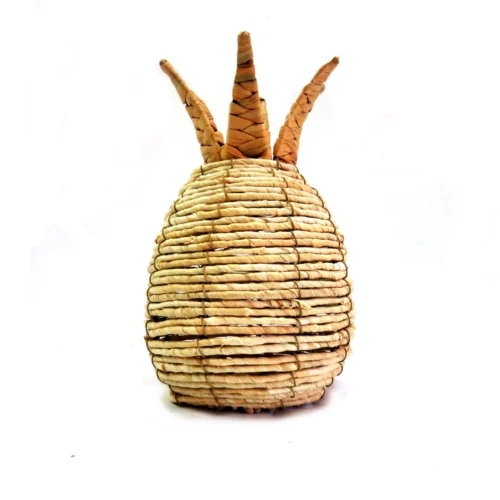 Pineapple panama