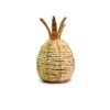 Pineapple philopeno