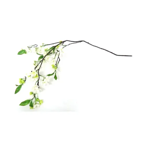 Blossomania white