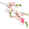 Pink blossomania