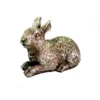 Bellatrix rabbit