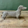 Coco sausage dog 25cml