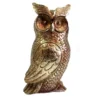 Chaucer owl