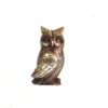 Otis owl