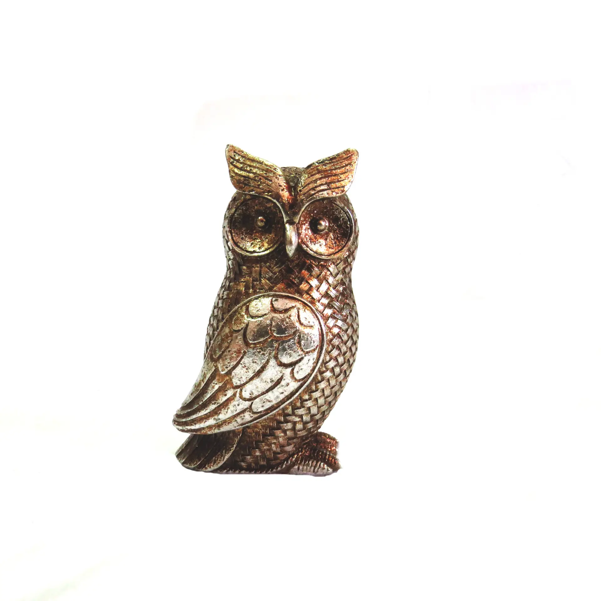Otis owl