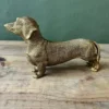 Leopoldina sausage dog 25cml