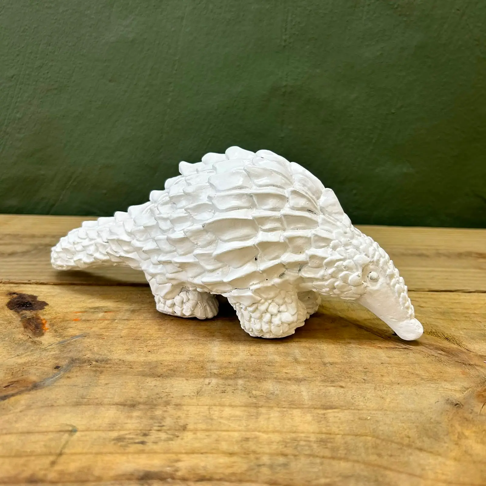 Temmi white pangolin