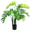 philodendron potted plant