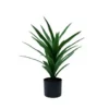 Sisal tree 60cm