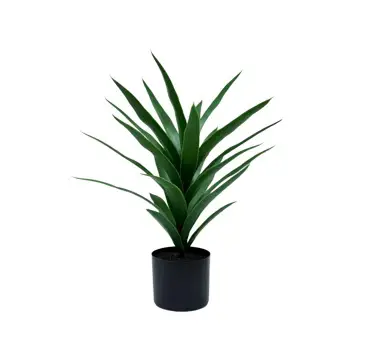 Sisal tree 60cm