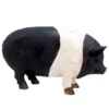 Porkie pig