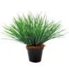 Potted grass volcano