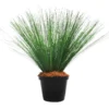 River reeddance plant