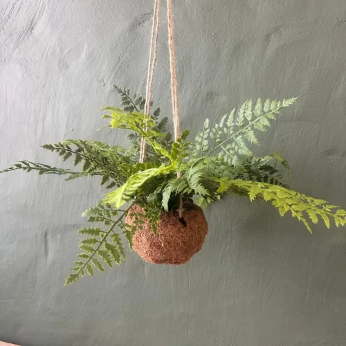 Madame Kokedama