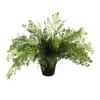 Maiden fern pot