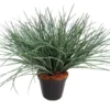 Wyoming grass pot