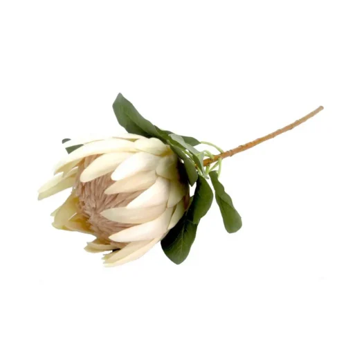 Opalescent Protea
